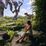 Bali: Ubud Rice Terraces, Sari Timbul & Taman Dedari Tour - Practical Details & Tips