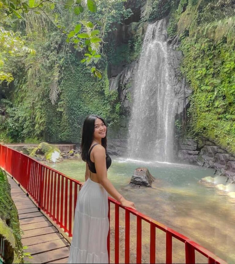 Bali: Ubud Waterfalls or UNESCO Temple Private Full Day Tour - Experience Quality and Inclusions