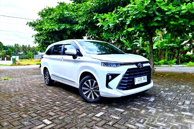 Bali Ubud Zipline River Rafting and Rice terrace Tour with Lunch - The Sum Up