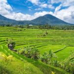 Bali: Ulundanu, Waterfall, Jatiluwih & Tanah Lot Temple Tour - Practical Details and What to Expect