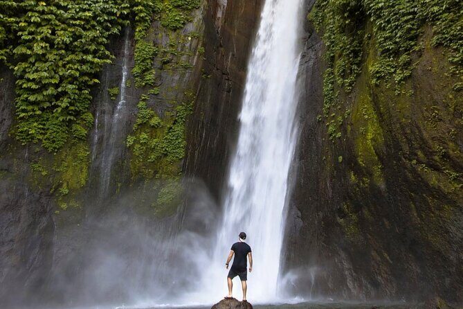 Bali Waterfall Tour Hidden Spot All Inclusive Private Day Trip - Why This Tour Offers Great Value