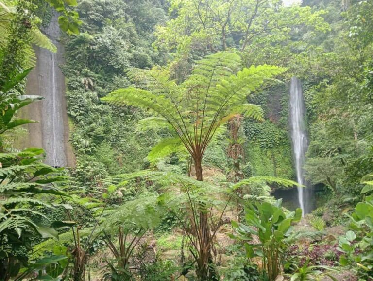 Bali: Waterfalls, Lake Buyan, and Honey Farm Tour - The Honey Farm Experience: Sweetening Your Bali Day