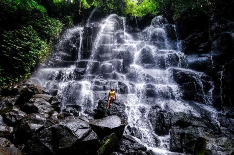 Bali: Waterfalls, Temples, and Rice Terraces Tour - Who Will Love This Tour?