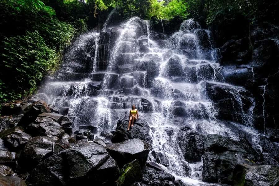 Bali: Waterfalls, Temples, and Rice Terraces Tour - Who Will Love This Tour?