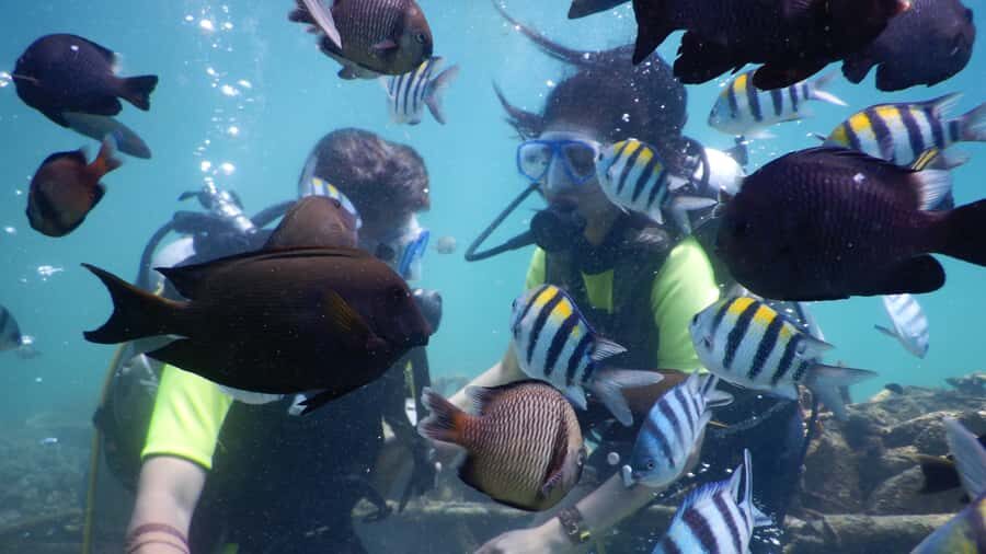 Bali: Watersport Scuba Diving Jetski Dunut Boat Exclusive - Why the Environment Matters