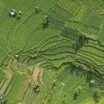 Bali Wellness Holistic Escape - The Yoga Session: A Gentle Start