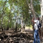 Bali: West Bali Rainforest Guided Trekking Tour - The Trail & Its Highlights