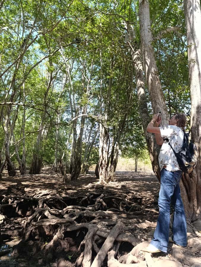 Bali: West Bali Rainforest Guided Trekking Tour - The Trail & Its Highlights