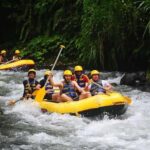 Bali: White Water Rafting, Lunch and Private Pickup - Value for Money and Overall Impression