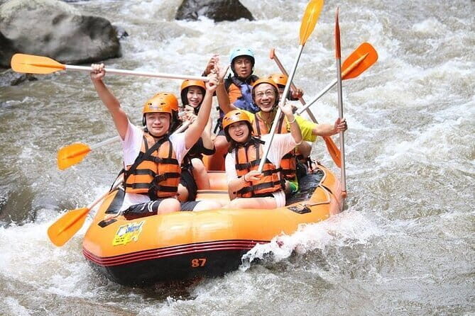 Bali White Water Rafting with Lunch and Private Transfer - In-Depth Look at the Tour Details