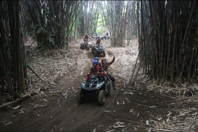 Bali Wild Jungle Expedition: Jungle Hopper & Quad ATV Adventure - Practical Details and Logistics