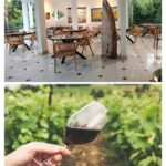 Bali: Wine & Cheese Tasting / Jungle Bar / Skylodge - Breaking Down the Itinerary