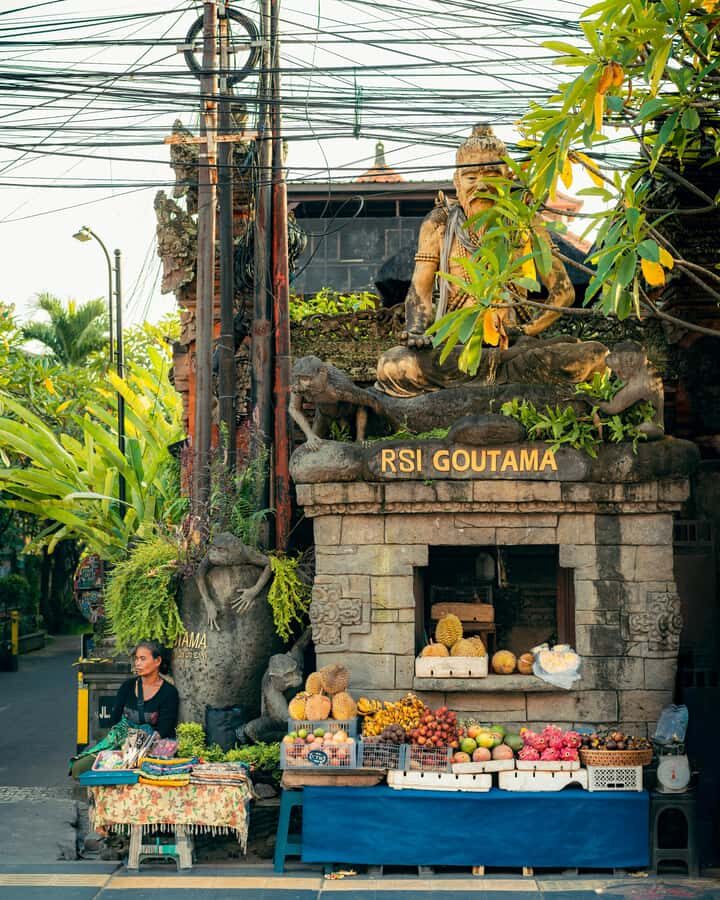 Balinese Cooking Class & Local Art of Ubud - Why This Tour Is a Great Value
