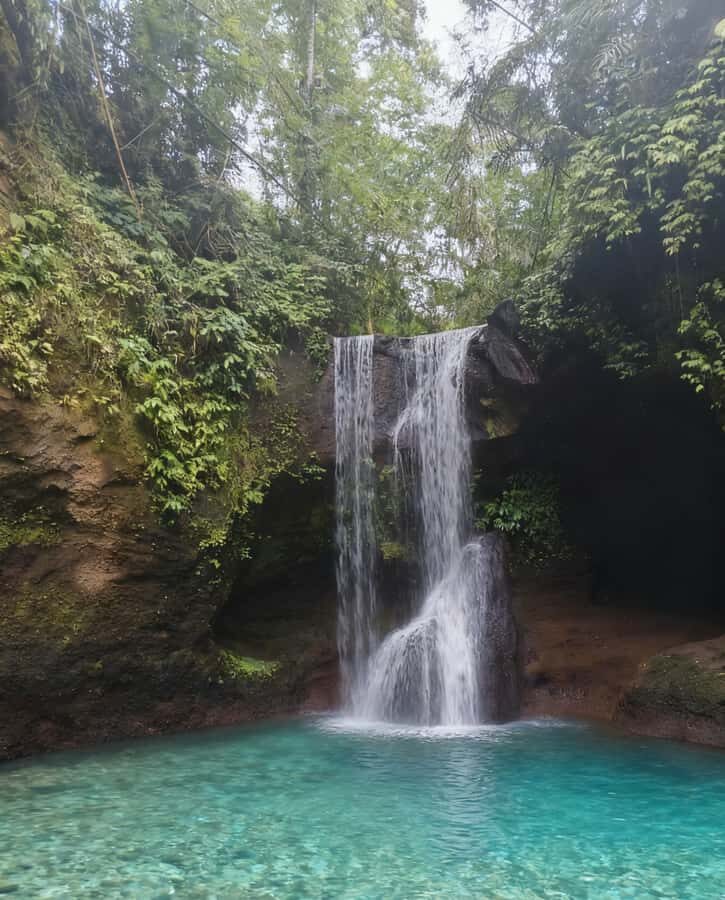 Balinese Holy Water Ritual with Nature Serenity - An In-Depth Look at the Tour Experience