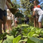 Balinese Traditional Farm Cooking Class and Market Tour - The Reality of the Reviews