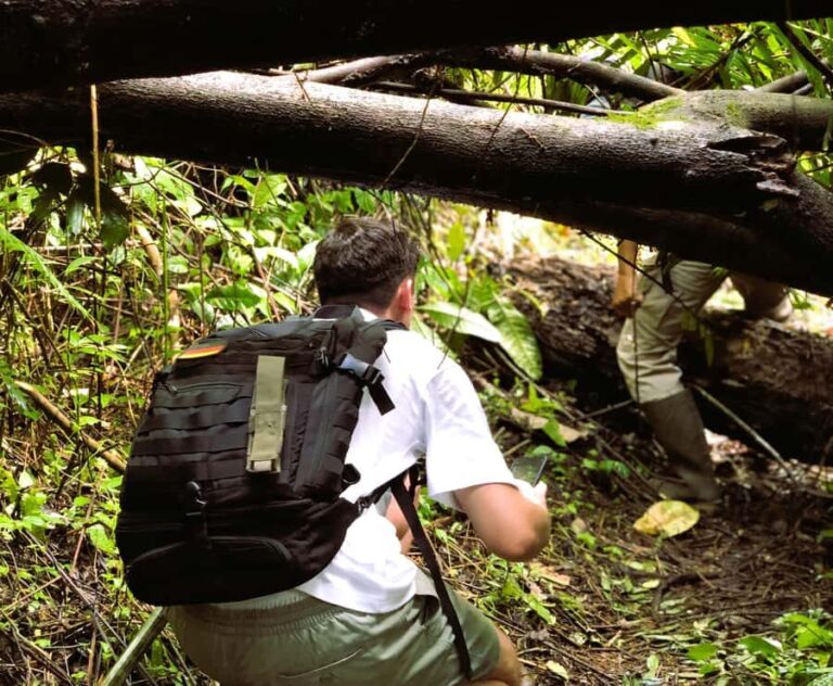 Balis Mystical Jungle Trek & Hidden Waterfall Adventure - Logistics and Practicalities