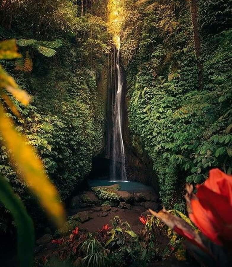 Bali:Ulun Danu, Waterfalls, Handara Gate, Cofee Planta Tour - Practical Details: What You Need to Know