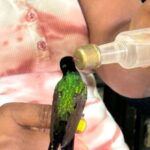 Bamboo rafting and bird sanctuary tour from Montegobay - Practical Details and Tips