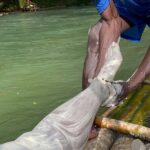 Bamboo Rafting and Rick Cafe Negril Private Tour - Understanding the Itinerary in Detail