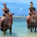 Bamboo Rafting & Horseback Ride n Swim Guided Tour In Montego Bay - Why This Tour Stands Out