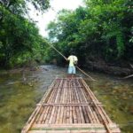 Bamboo Rafting, Waterfall, lunch, Elephant, and Turtle Tour - The Itinerary in Detail