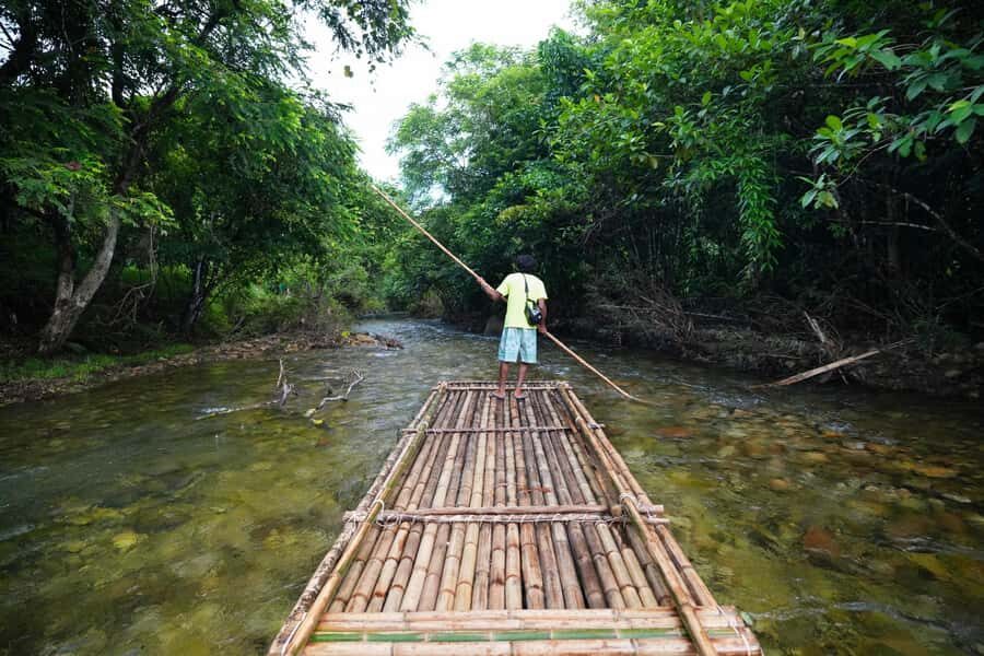 Bamboo Rafting, Waterfall, lunch, Elephant, and Turtle Tour - The Itinerary in Detail