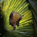 Ban Khao Sok: Rafting, Cooking, & Night Jungle Trek Tour - An In-Depth Look at the Tour