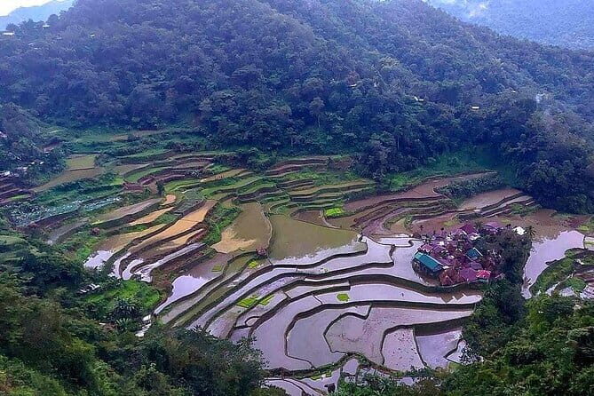 Banaue-Sagada A 7 days Northern Adventure Trip - Day-by-Day Breakdown: What To Expect
