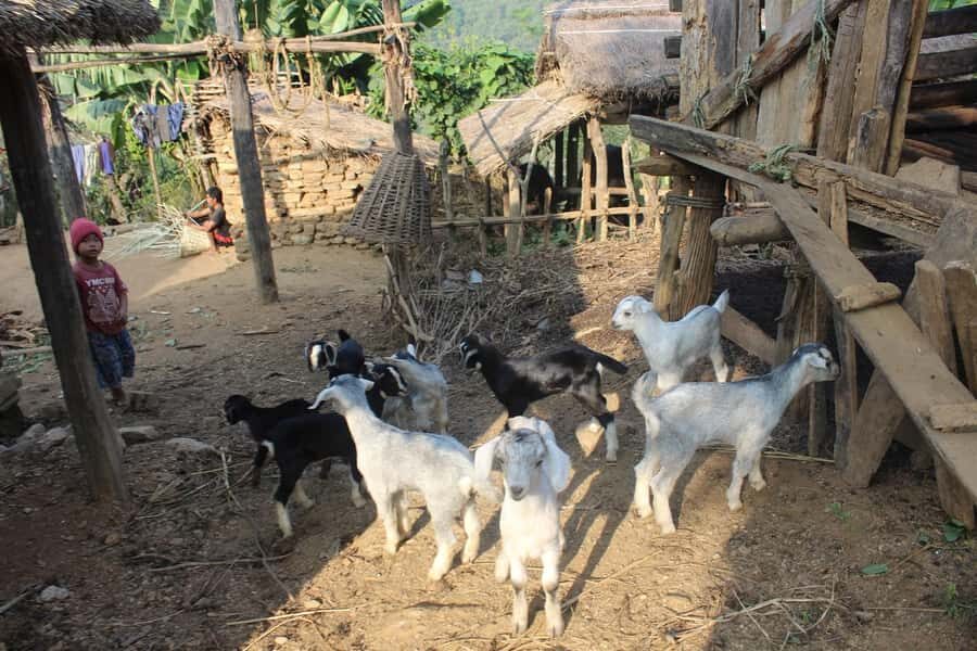 Bandipur: First hand rural cultural experience at homestay - The Itinerary: What You Can Expect