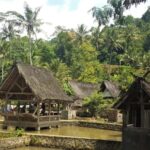 Bandung: 2-Day Galunggung, traditional village, & Papandayan - A Comprehensive Look at the 2-Day West Java Tour