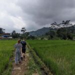 Bandung Countryside Tour: Waterfall, Rice Fields & Culture - Exploring the Itinerary in Detail