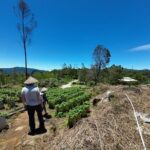 Bandung Volcano Sightseeing and Hot Spring Private Tour - Practicalities and What to Expect