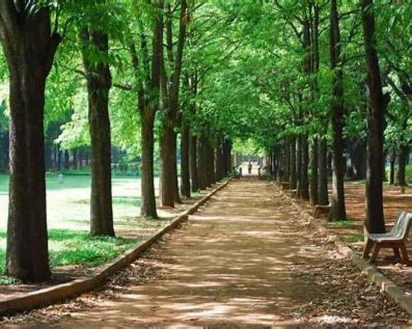 Bangalore: City Highlights Guided Tour - Good To Know