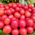 Bangalore: Food Street Walk and a colourful bazaar - FAQ