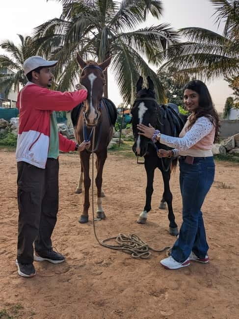 Bangalore: Horse Riding Safari Tour - Who Will Love This Tour?