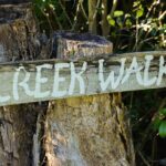 Bangalow Native Bush Food Tour - The Experience: What Youll Actually Do