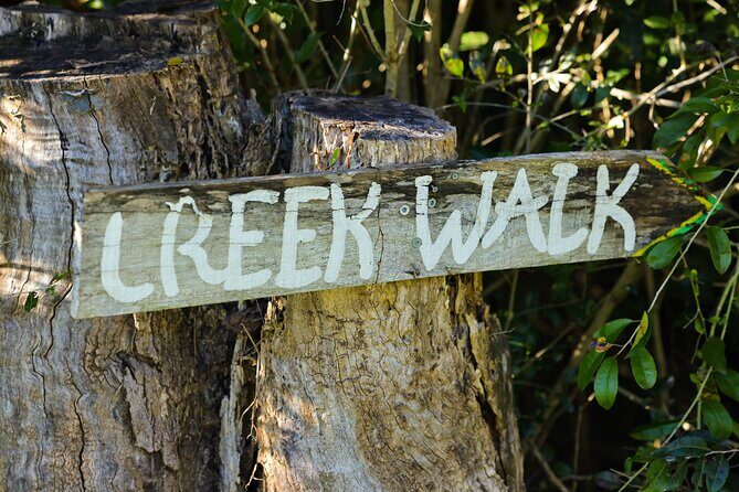 Bangalow Native Bush Food Tour - The Experience: What Youll Actually Do