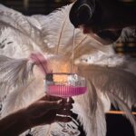 Bangkok: Aperitivo Free-Flow Alcohol at W Bangkok - What to Expect from the Experience