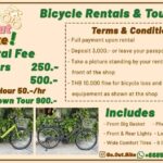 Bangkok: City Bike Rental with Helmet, Lock, Phone Holder - Practical Details & Considerations
