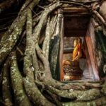 Bangkok: Dragon Temple, Roots Temple and Amphawa in spanish - What the Reviews Reveal About the Experience