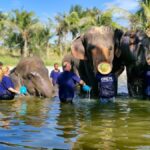Bangkok: Elephant Sanctuary &Khao Kheow Open Zoo (Moodeng) - Itinerary Breakdown