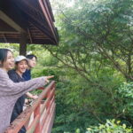 Bangkok Green Oasis Nature Bike Tour - A Few Considerations