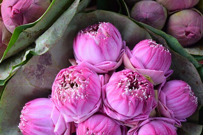 Bangkok Lotus Fields, Orchid Farm, and Flower Market Tour - Analyzing the Value