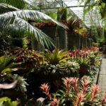 Bangkok: Nong Nooch Garden - The Value of This Tour