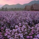 Bangkok: Private Khao Yai Day Tour - The Practical Side: What to Expect