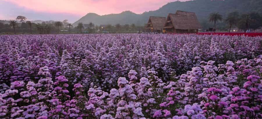 Bangkok: Private Khao Yai Day Tour - The Practical Side: What to Expect