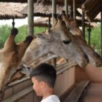 Bangkok Safari & Marine Park - What to Expect from the Tour