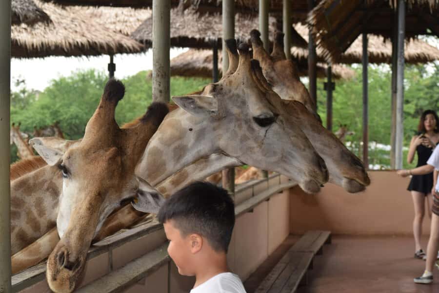 Bangkok Safari & Marine Park - What to Expect from the Tour