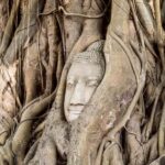 Bangkok:Ayutthaya 5 Temples and Palace with Longtail & Lunch - Who Will Love This Tour?