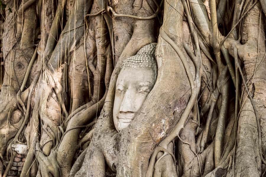 Bangkok:Ayutthaya 5 Temples and Palace with Longtail & Lunch - Who Will Love This Tour?